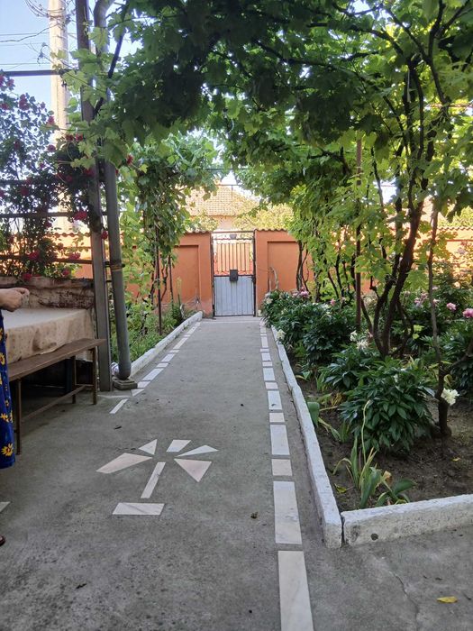 Vand casa 5 camere si dependinte cu apa curenta si teren 3000m2 in sat Schinteiesti din Jud Mehedinti