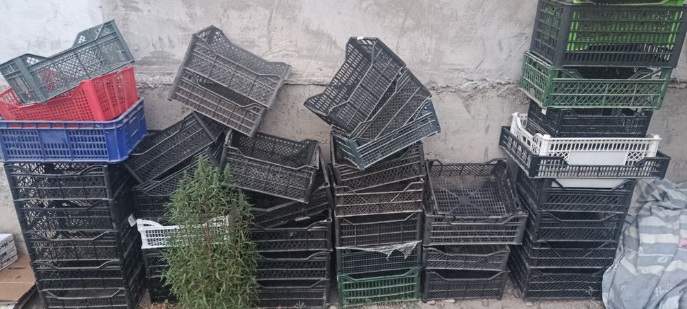 Продаю пластиковый ящики