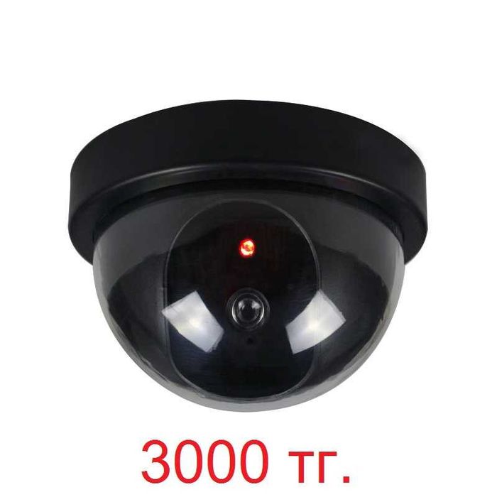 Әйелі сексуалды видео