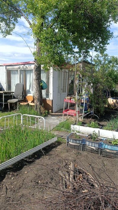 Дачный участок с постройками