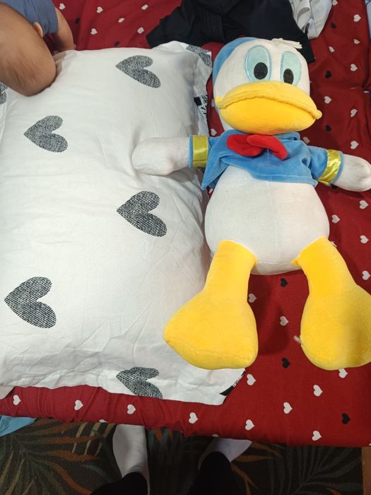 Donald duck de dimensiune mare