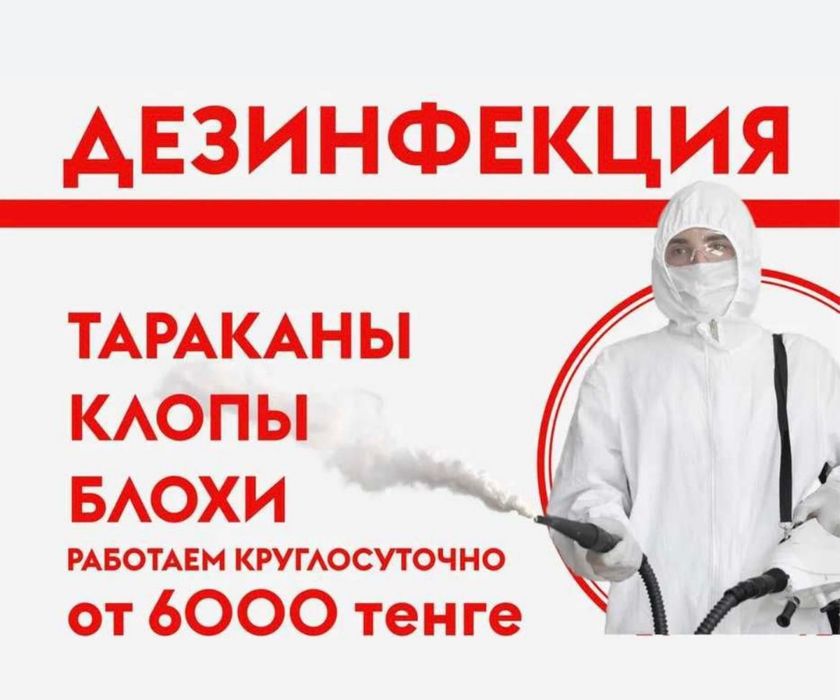 Дезинфекция клопов тараканов