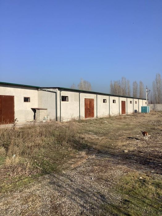 База. Срочно. 50 соток