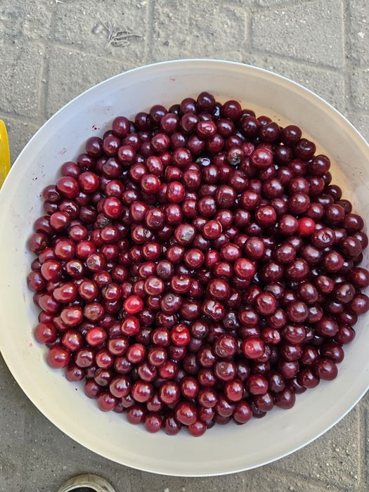 Вишьня вкусные,сочные,из Ахмера