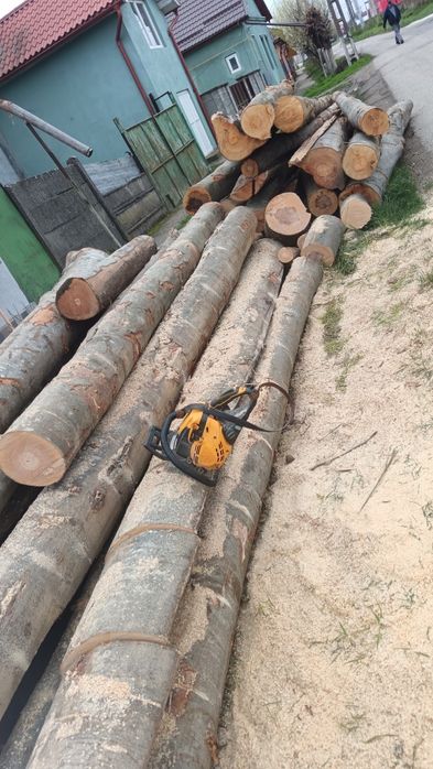 Tai lemne in Timișoara și Sacalaz Beregsău  preț 400 lei camioneta.