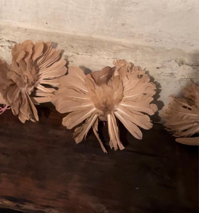 Продам голубей павлинов