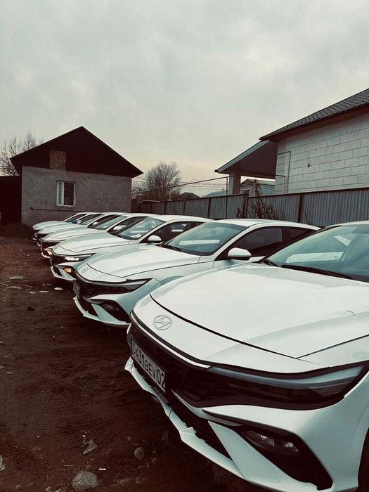 Таксиде жұмыс істеу үшін әртүрлі санаттағы автокөліктер жалға беріледі