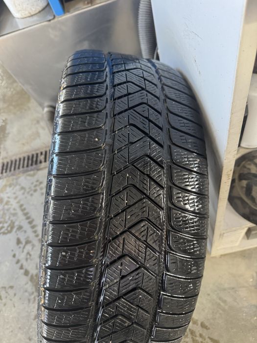 Продам шины Skorpion