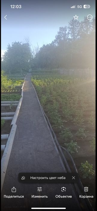 Продаем дачу в обществе Мичуринец