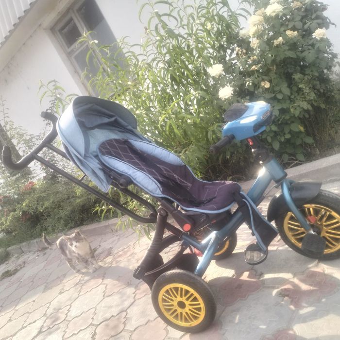 Трёхколёсный велосипед