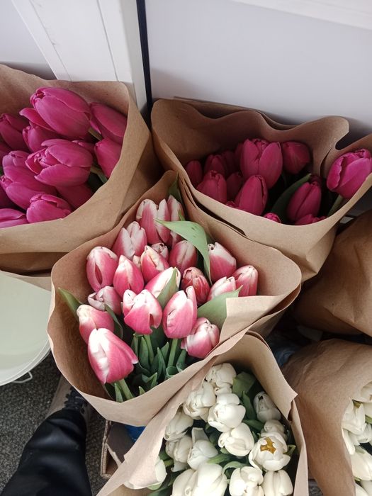 Крупные тюльпаны от 500тг