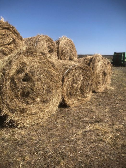 Продам крестьянское хозяйство