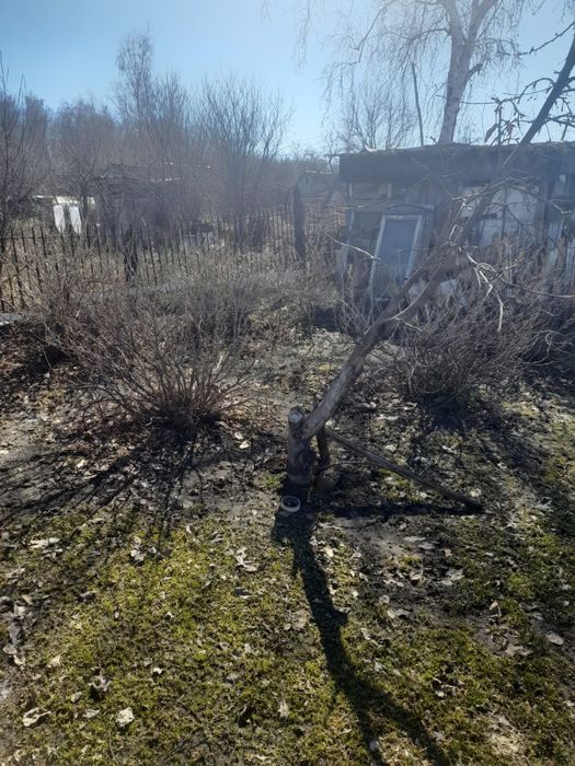 Продам дачу в Борках