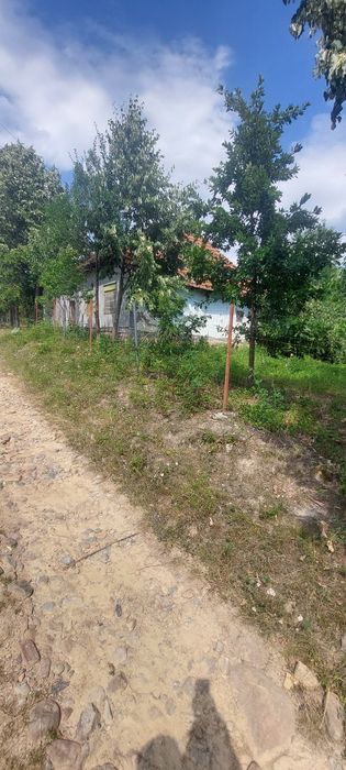 Vând casa cu grădină
