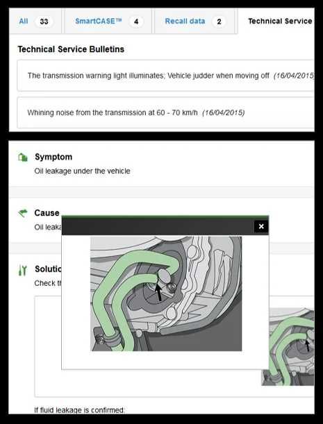 HaynesPro ОНЛАЙН Сервизна база данни / Workshop Database