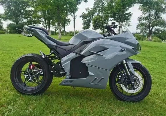 Electron Panigale PRO