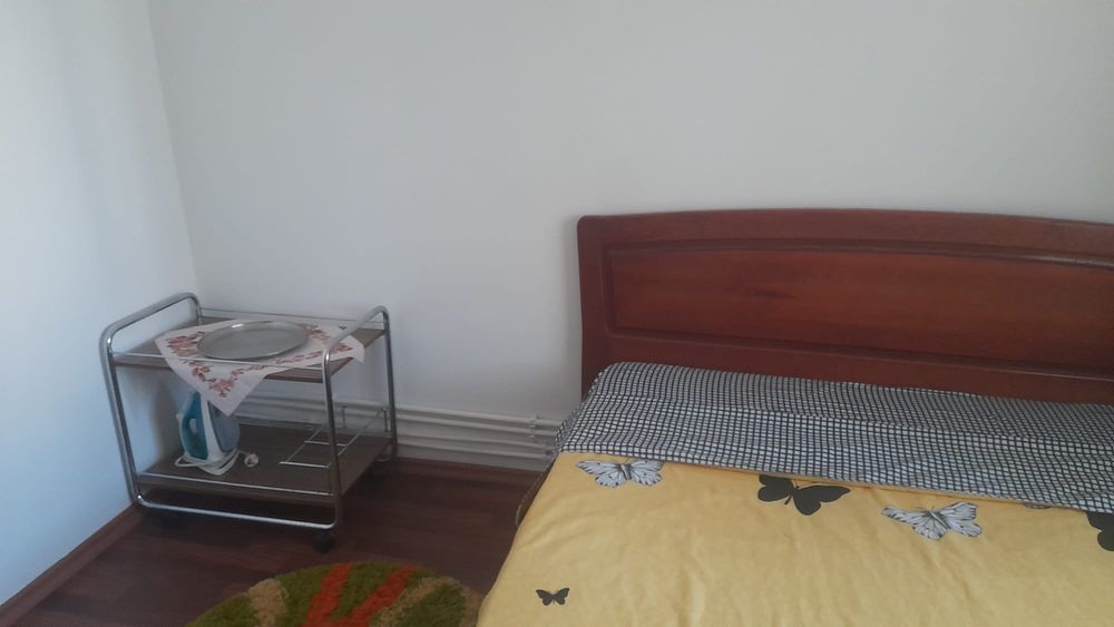 Apartament Nicolae Iorga Casa stiintei Ostroveni