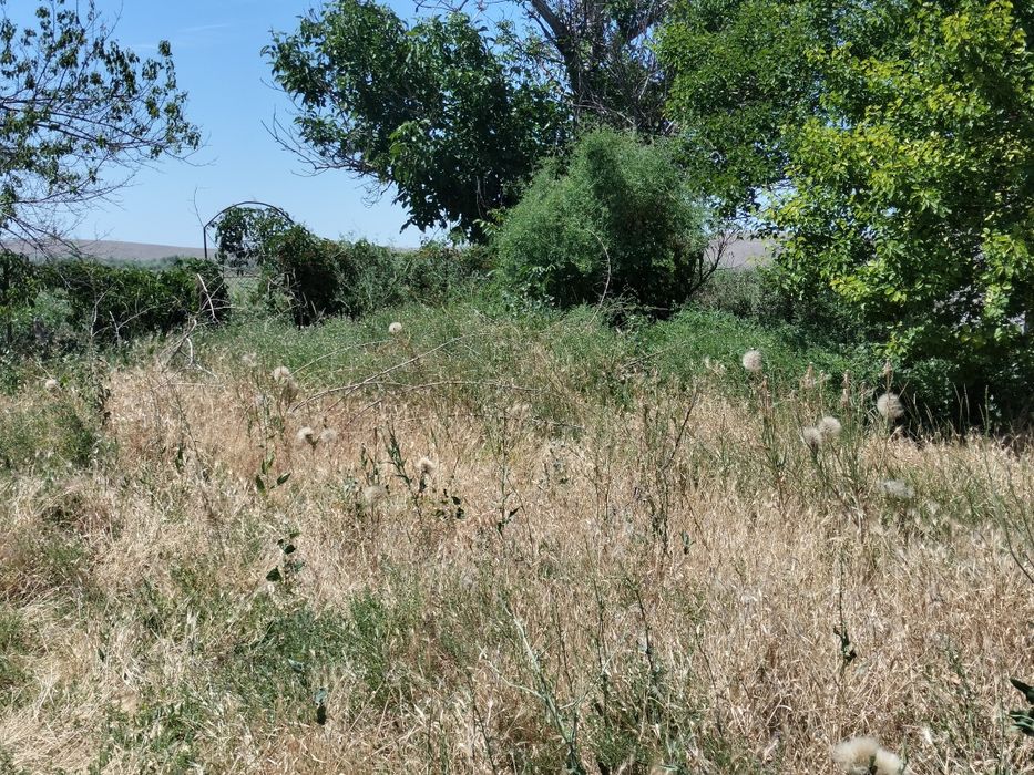 Продажа Дом участок