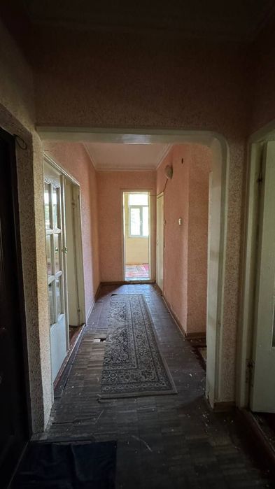 Tinchlik Guncha 2 hona