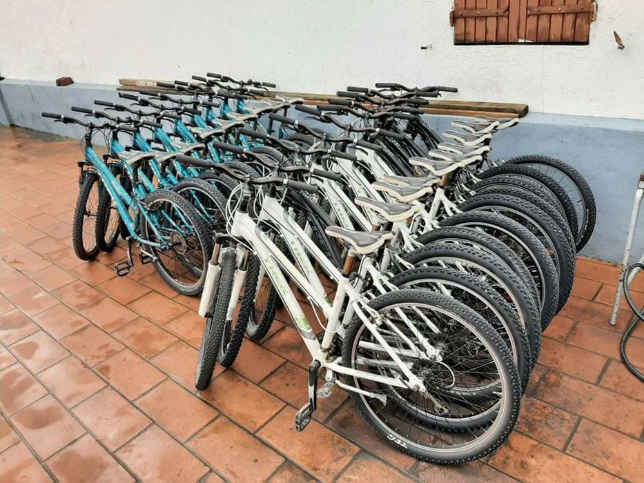 Biciclete Trek femei
