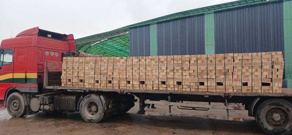 Pochkali Pishgan GISHTlar