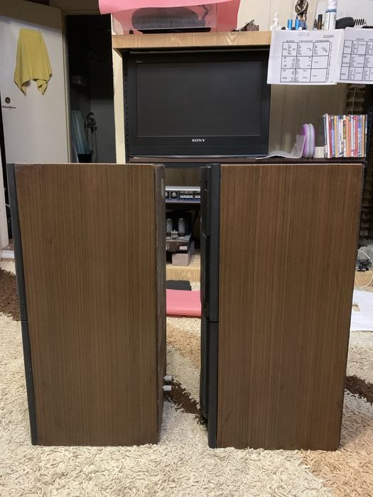 Колонки  Вега 106