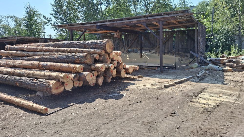 Продам кругляк сосна. Кругляк сосна.