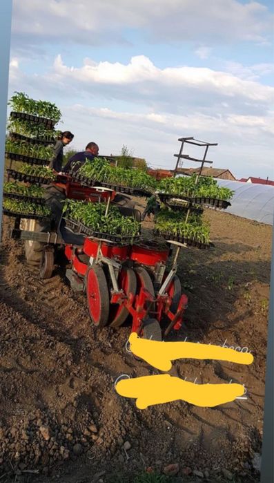 Vand plantator rasad si prașitor cu fertilizare