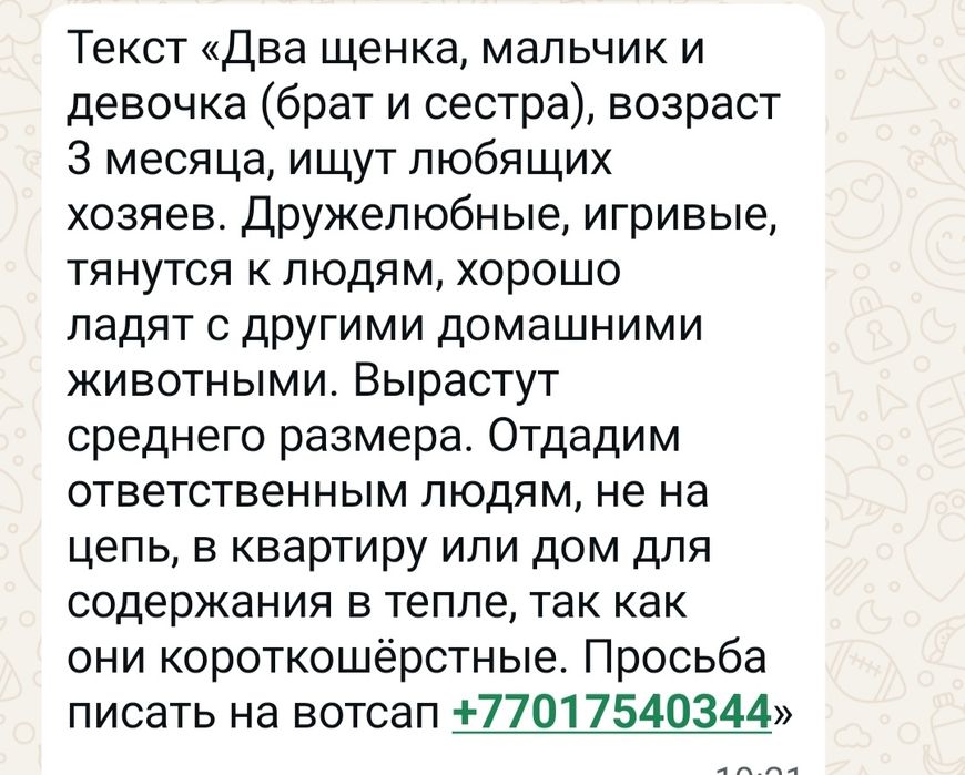 Мальчик и девочка полукровки