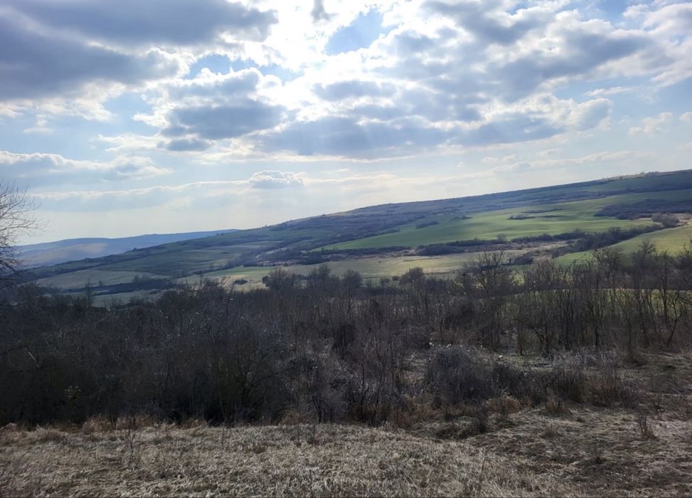 Teren 1 hectar cu casa