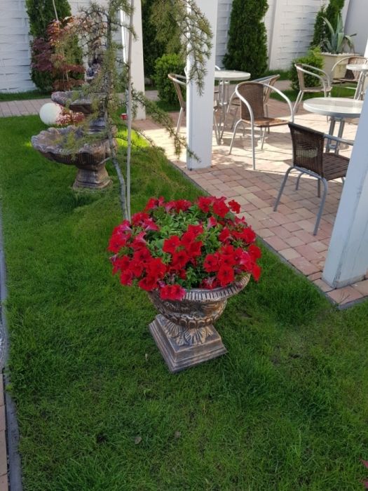 Ghiveci beton/versace/ghivece din beton,jardiniere din beton