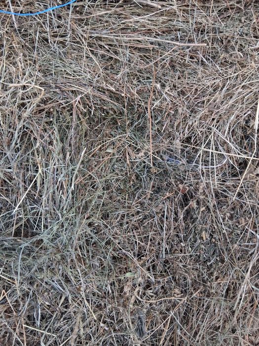 Baloti rotunzi de vanzare Fan , lucerna , otava