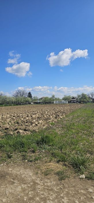 Vând teren Dragomirești  Dâmbovița , 1400 mp , 22€ mp