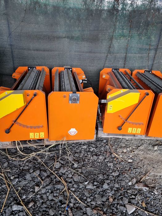 Sararita pentru nisip, sare