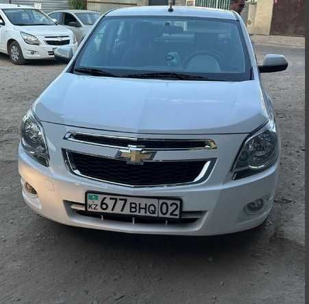 кобальты под выкуп 12.000в день