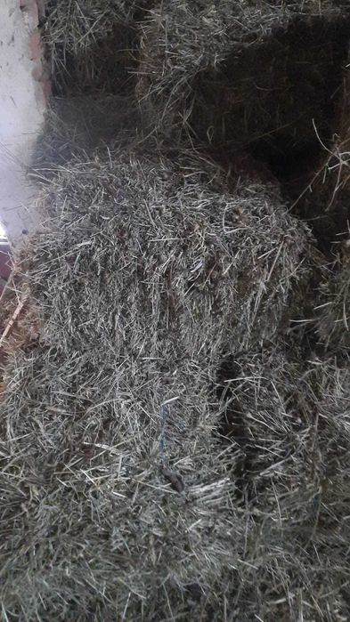 VAND otava in baloti