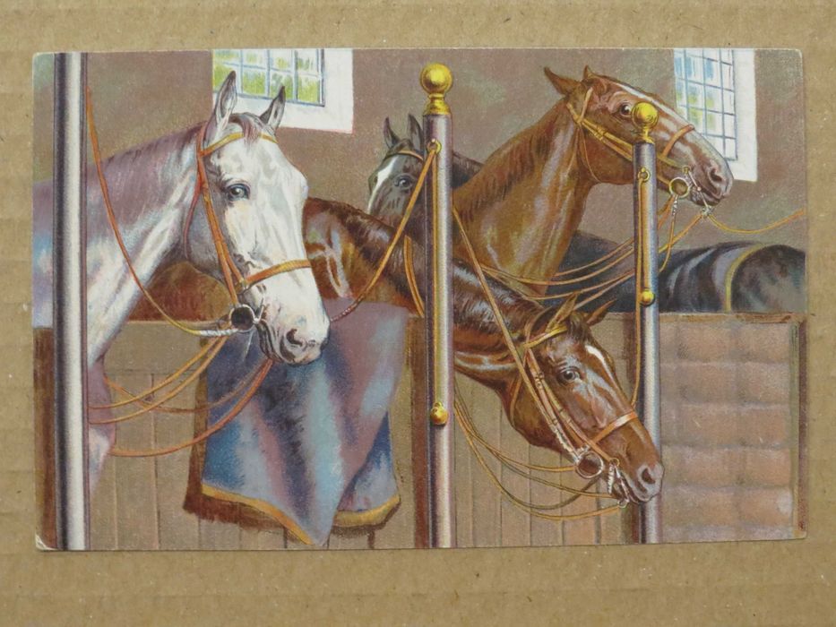 4 carti postale ilustrate cu cai