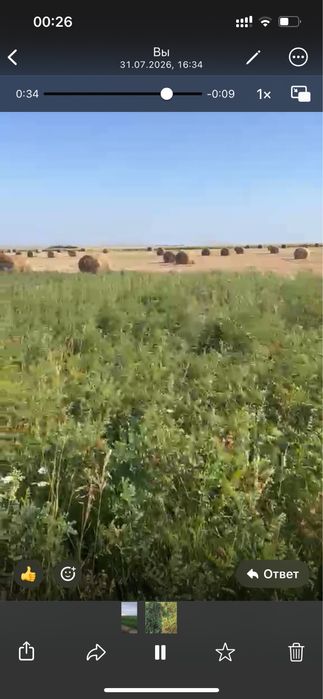 Продам сено с доставкой