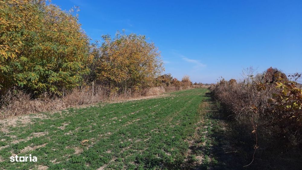 Vând proprietate în sat Brătești, com. Șirna, jud. Prahova