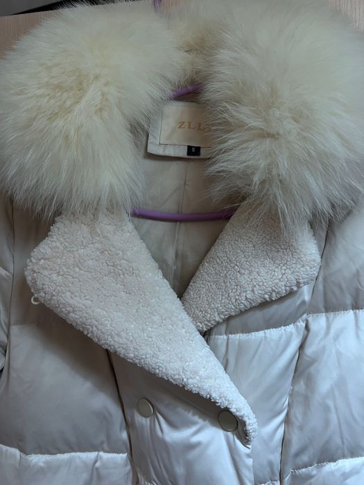 Цена только сегодня