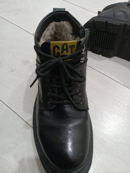 Продаю Кожаные собаки