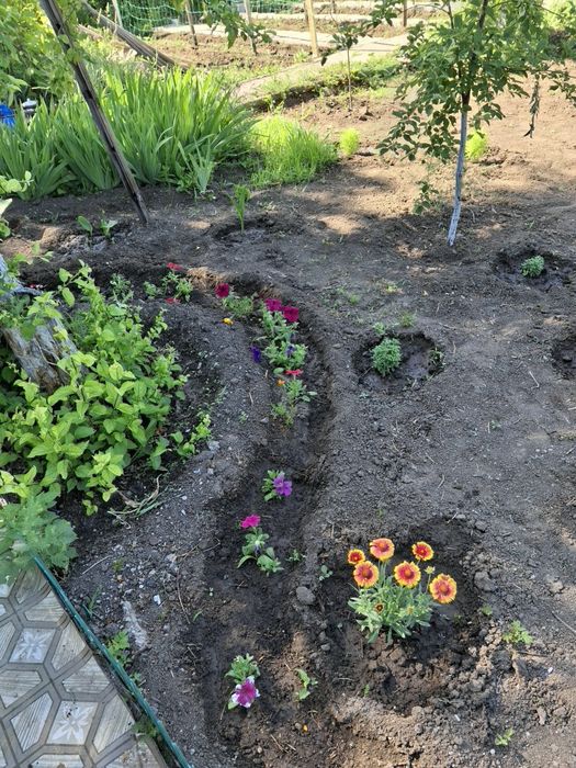 Продам дачу ск локомотивное 10