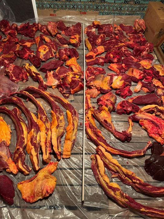 Продам конину быр сирак