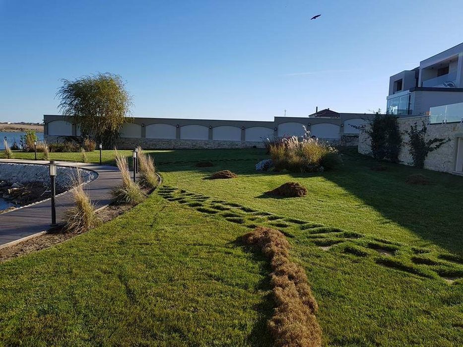 Toaletare taiere curatare formare fructificare pomi fructiferi ,copaci