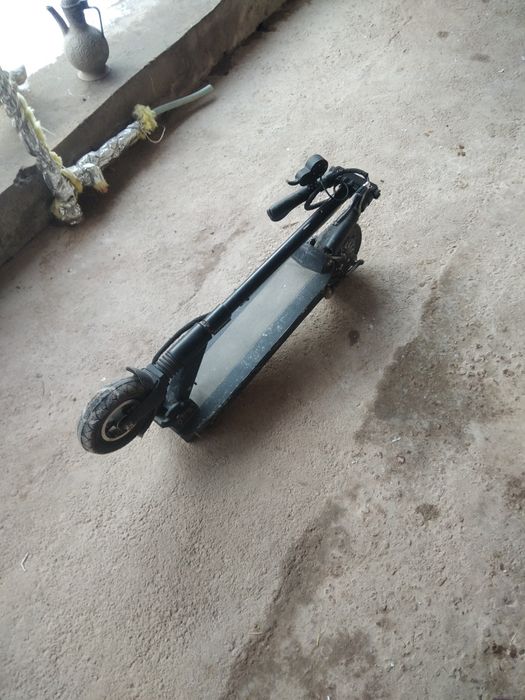 Rasiski elektra samakat arginal