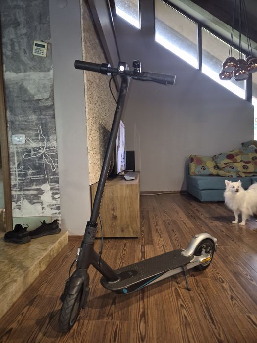 Xiaomi Mi Electric Scooter Pro 2 Mercedes F1 Team Edition