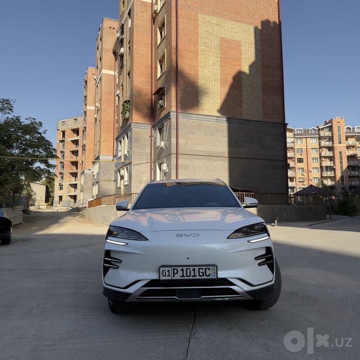 Byd champion restyling