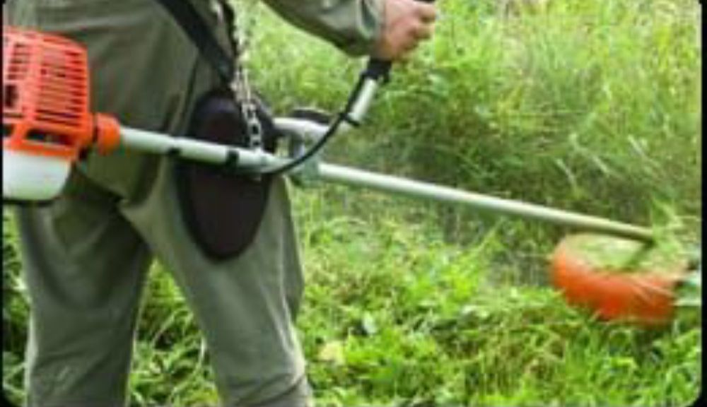 Услуги садовника