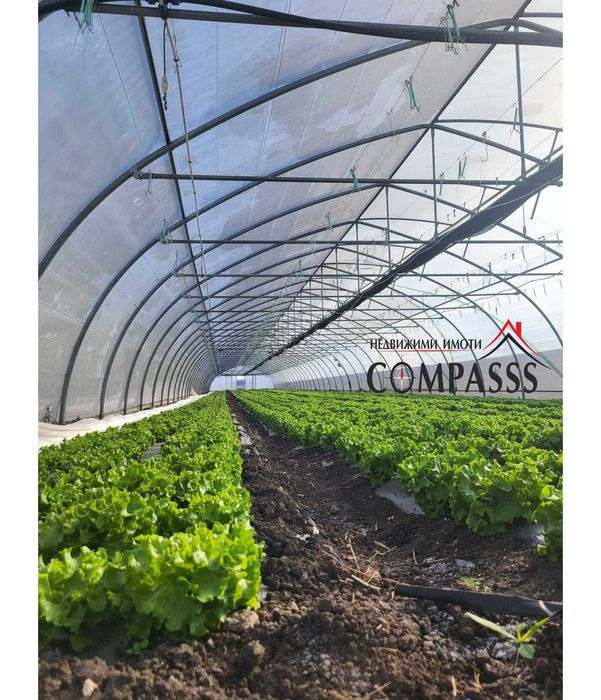 Продава се Склад в с. Генерал Колево, Област Добрич - 13000 кв.м за 20 €/кв.м - Снимка #3