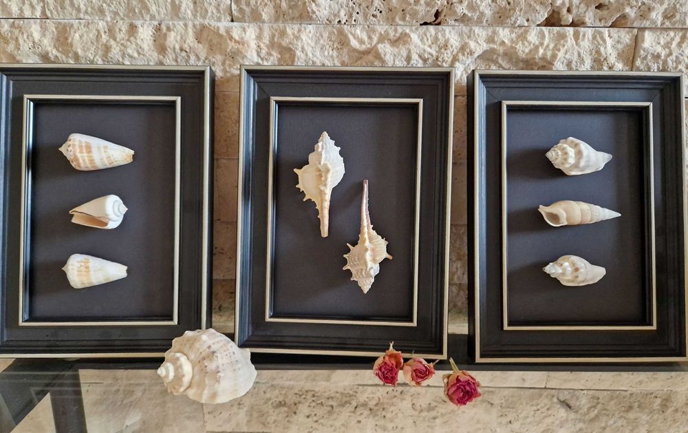 Tablouri unicat cochilii scoici pentru baie, hol, camera copil etc